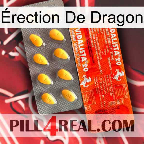 Érection De Dragon new01.jpg